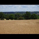 Die Elbe hat sich ins Gelände eingeschnitten